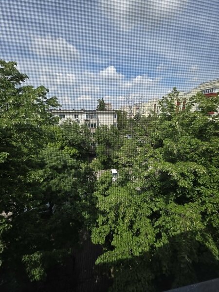 Vacaresti, Tineretului.